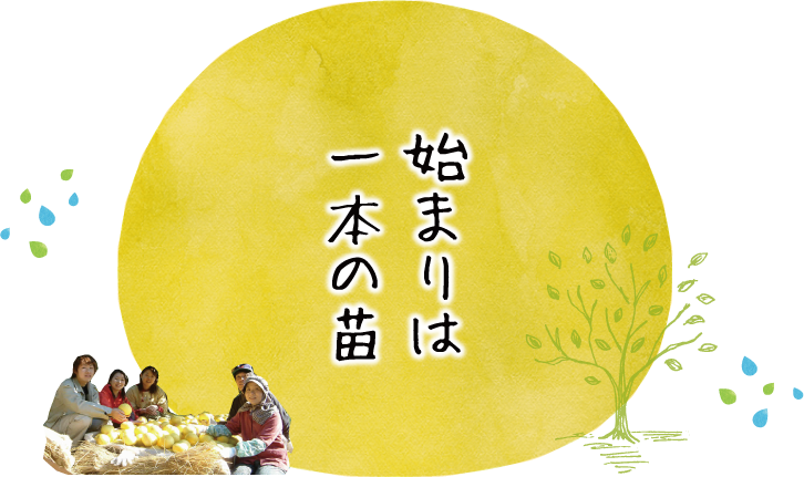 始まりは一本の苗土佐文旦を最初に育てた宮地さん家の物語。