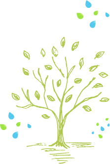 土佐文旦の始まりは一本の苗