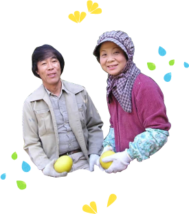 土佐文旦の生みの親宮地さん