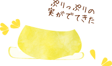 サジョウ部分の果肉だけ