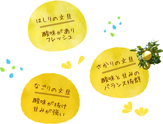 時期によって楽しめる味の変化