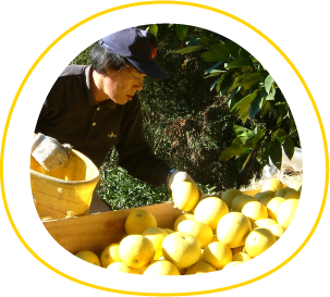 私たちが作ってます